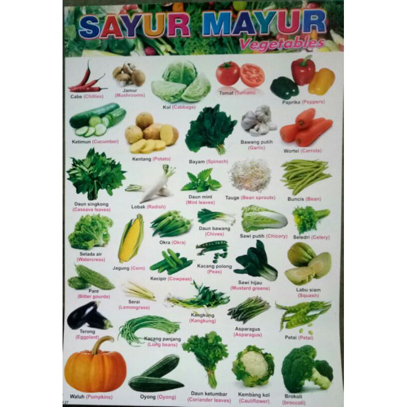 Detail Gambar Sayur Mayur Nomer 47