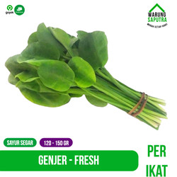 Detail Gambar Sayur Mayur Lalaban Sayur Leunca Nomer 32