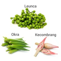 Detail Gambar Sayur Mayur Lalaban Sayur Leunca Nomer 38