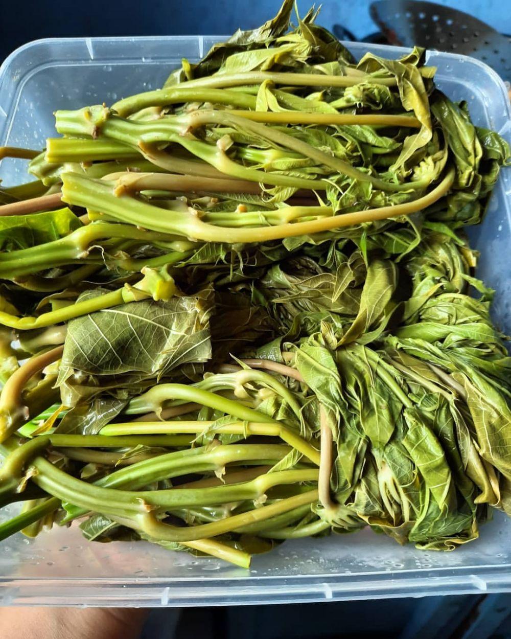 Detail Gambar Sayur Mayur Lalaban Sayur Leunca Nomer 5