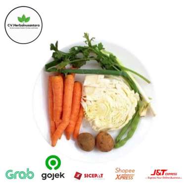 Detail Gambar Sayur Mayur Lalaban Sayur Leunca Nomer 55