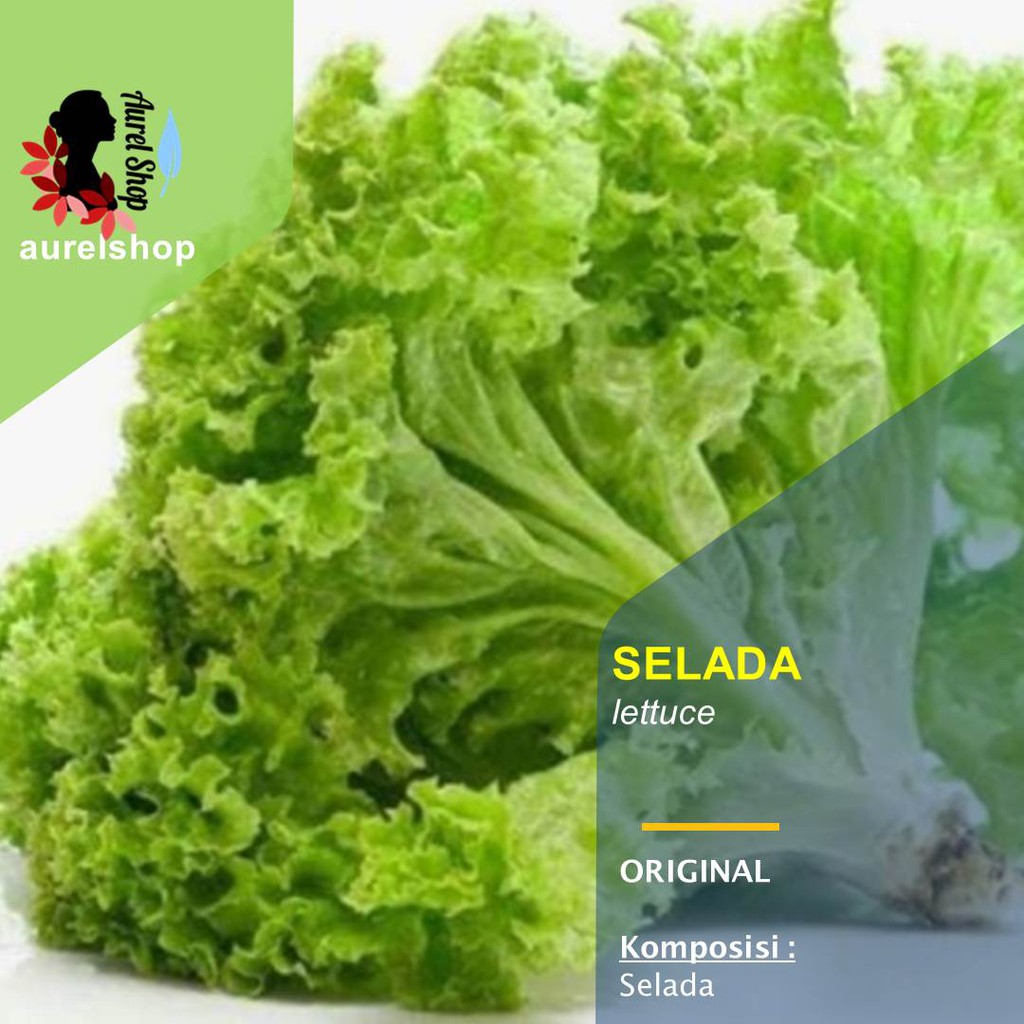 Detail Gambar Sayur Mayur Lalaban Sayur Slada Nomer 9