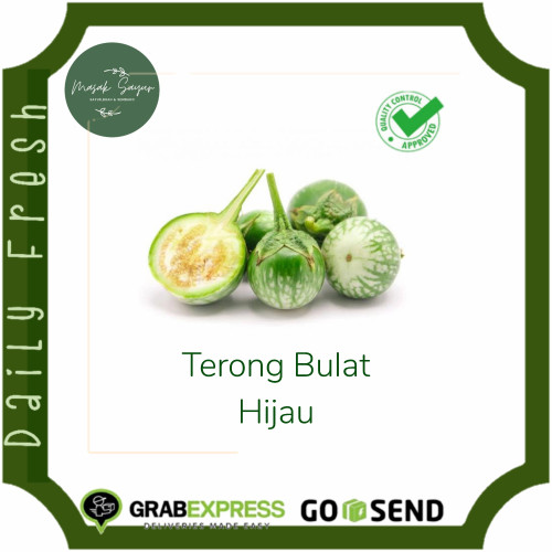 Detail Gambar Sayur Mayur Lalaban Sayur Terong Bulat Nomer 19