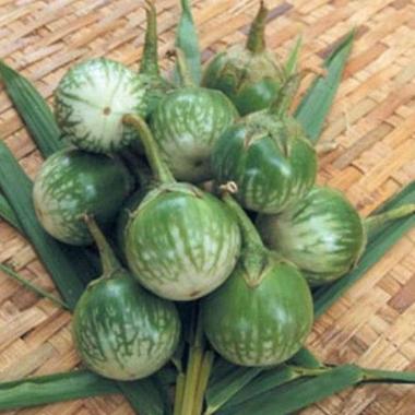 Detail Gambar Sayur Mayur Lalaban Sayur Terong Bulat Nomer 53