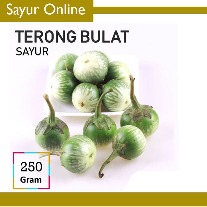 Detail Gambar Sayur Mayur Lalaban Sayur Terong Bulat Nomer 8