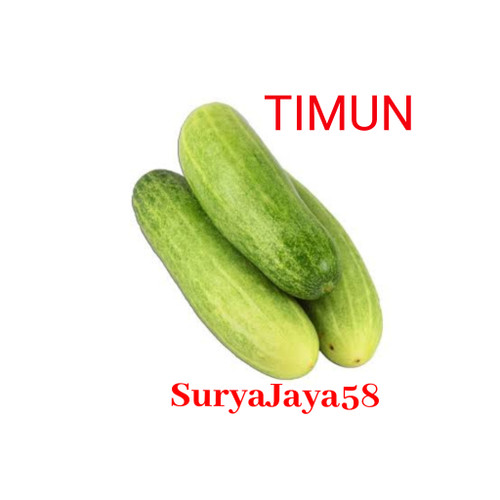 Detail Gambar Sayur Mayur Lalaban Sayur Timun Nomer 8