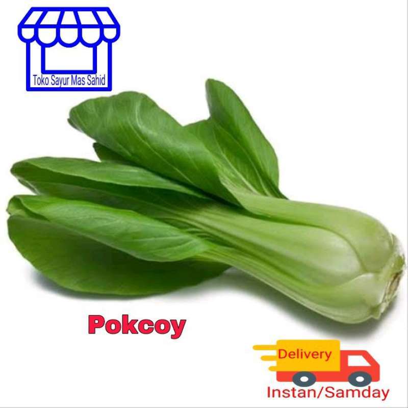 Detail Gambar Sayur Pakcoy Nomer 22