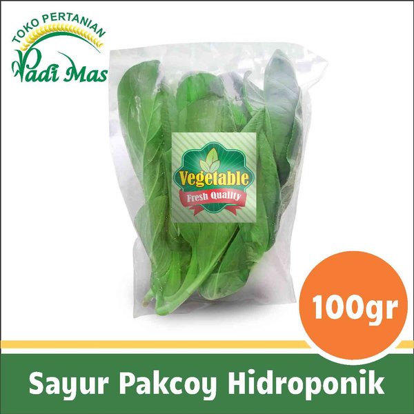 Detail Gambar Sayur Pakcoy Nomer 32