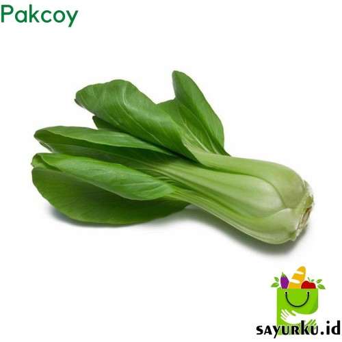 Detail Gambar Sayur Pakcoy Nomer 36