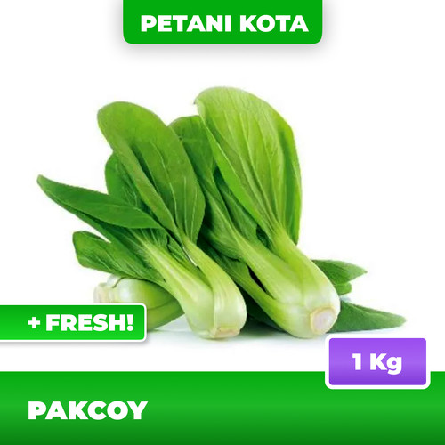 Detail Gambar Sayur Pakcoy Nomer 44