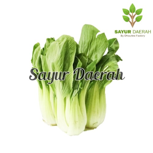 Detail Gambar Sayur Pakcoy Nomer 51