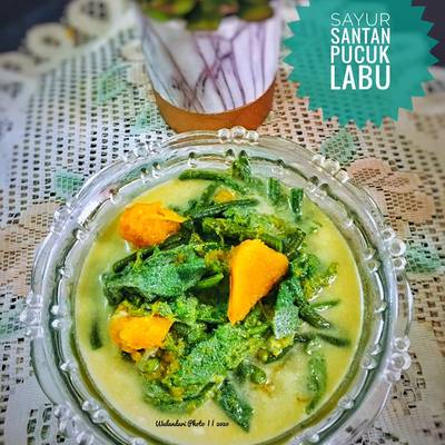 Detail Gambar Sayur Santan Nomer 4