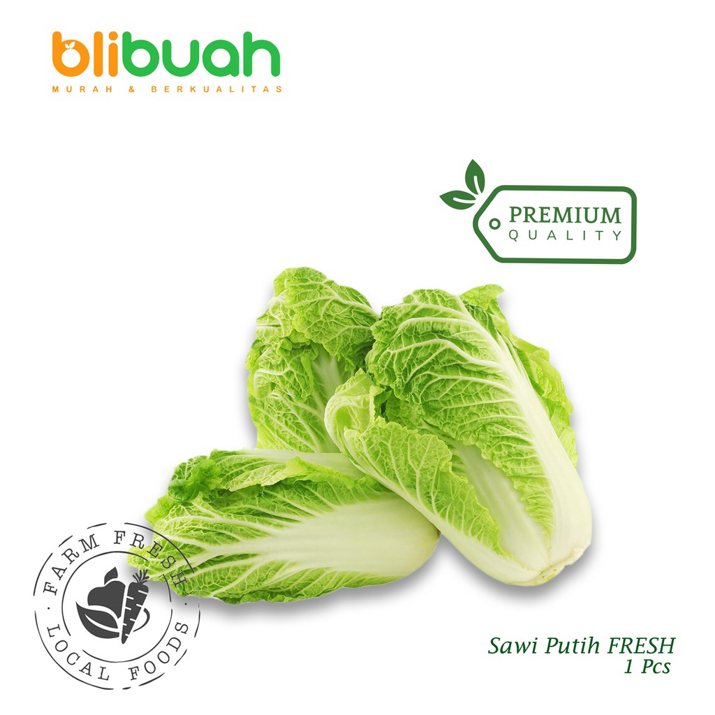 Detail Gambar Sayur Sawi Putih Nomer 57