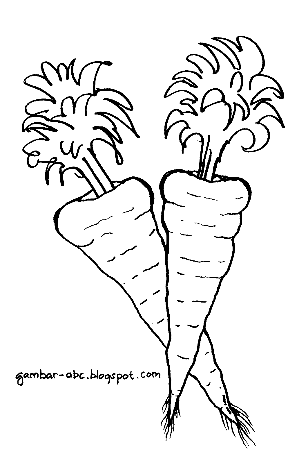 Detail Gambar Sayur Sayuran Mewarnai Kartun Nomer 26