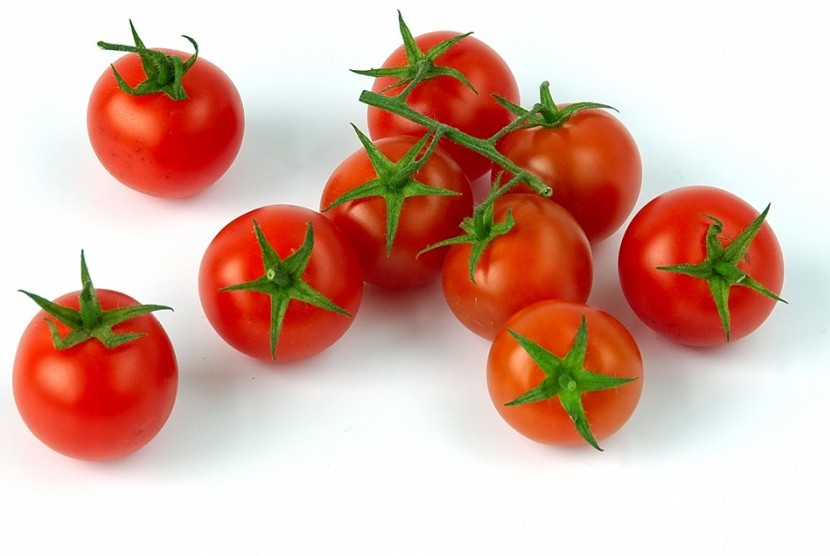 Detail Gambar Sayur Tomat Nomer 14