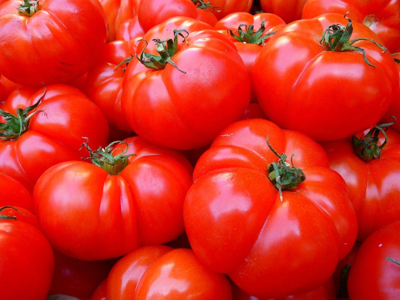 Detail Gambar Sayur Tomat Nomer 16
