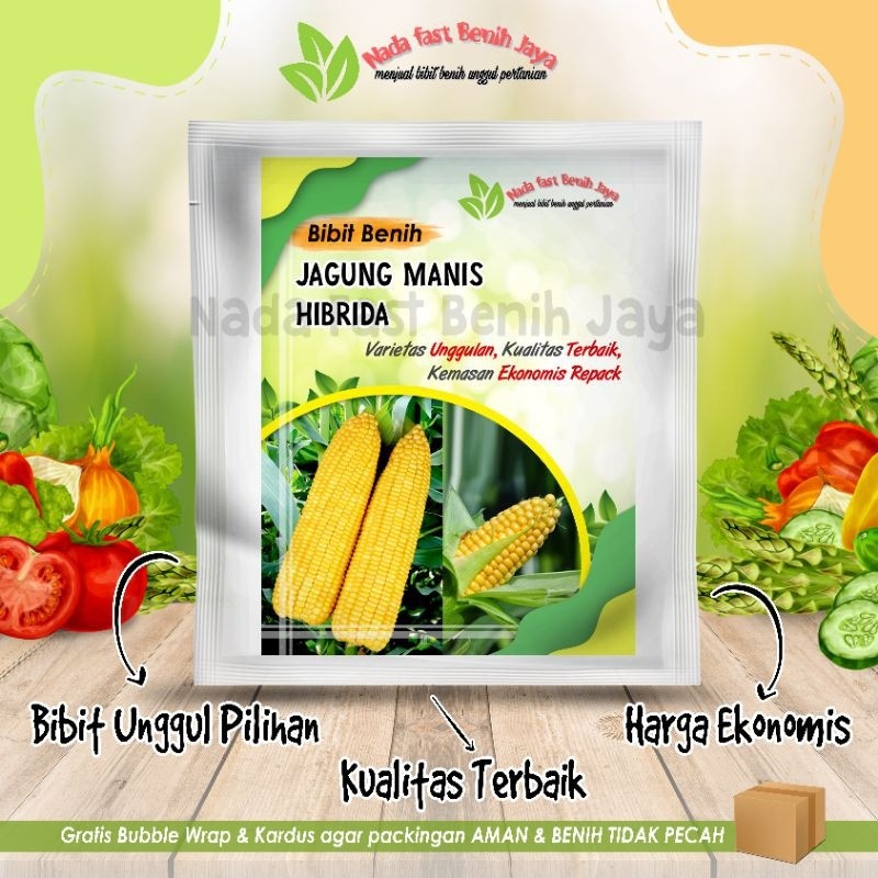 Detail Gambar Sayuran Jagung Nomer 28