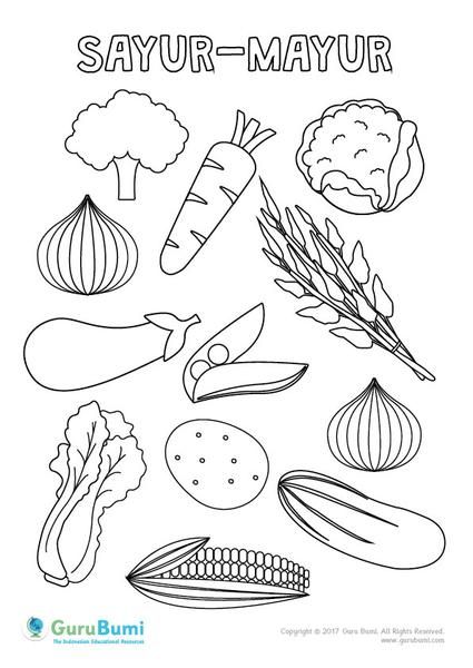 Detail Gambar Sayuran Mewarnai Nomer 22