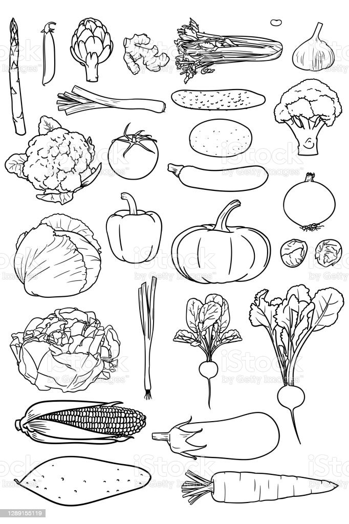 Detail Gambar Sayuran Mewarnai Nomer 34