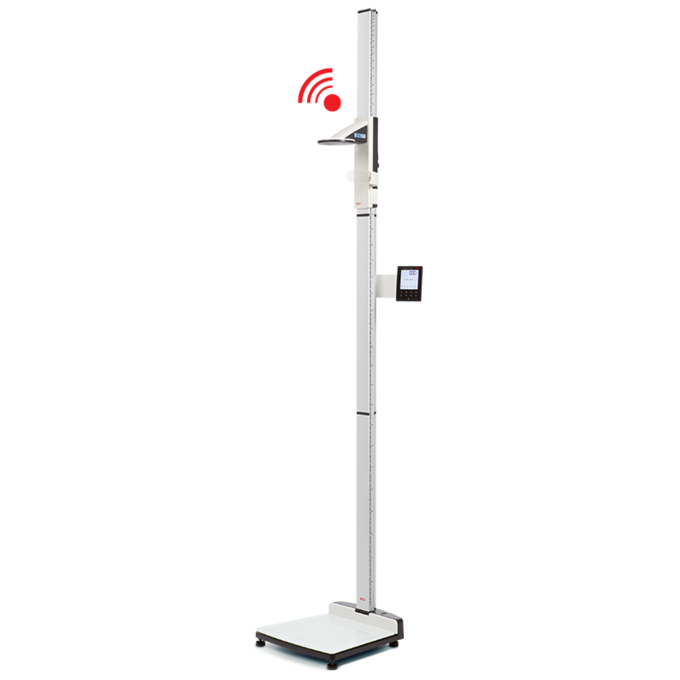 Detail Gambar Scaling Height Nomer 28