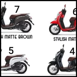 Detail Gambar Scoopy Stylish Nomer 49
