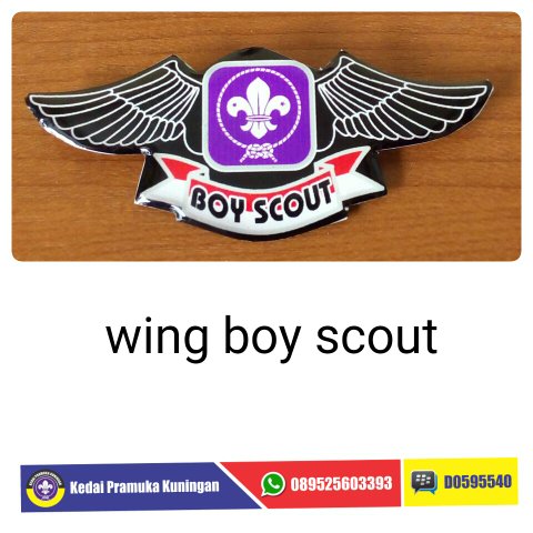 Detail Gambar Scout Pramuka Nomer 23