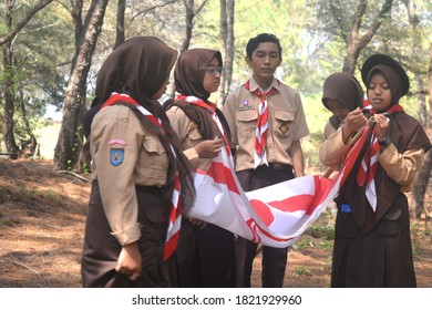 Detail Gambar Scout Pramuka Nomer 42