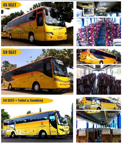 Detail Gambar Seat Bus 45 Toilet Nomer 30