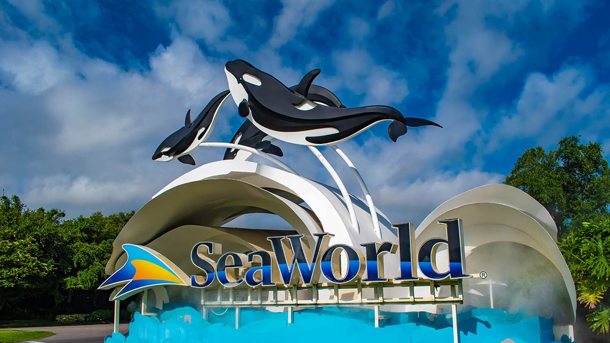 Detail Gambar Seaworld Ancol Nomer 13