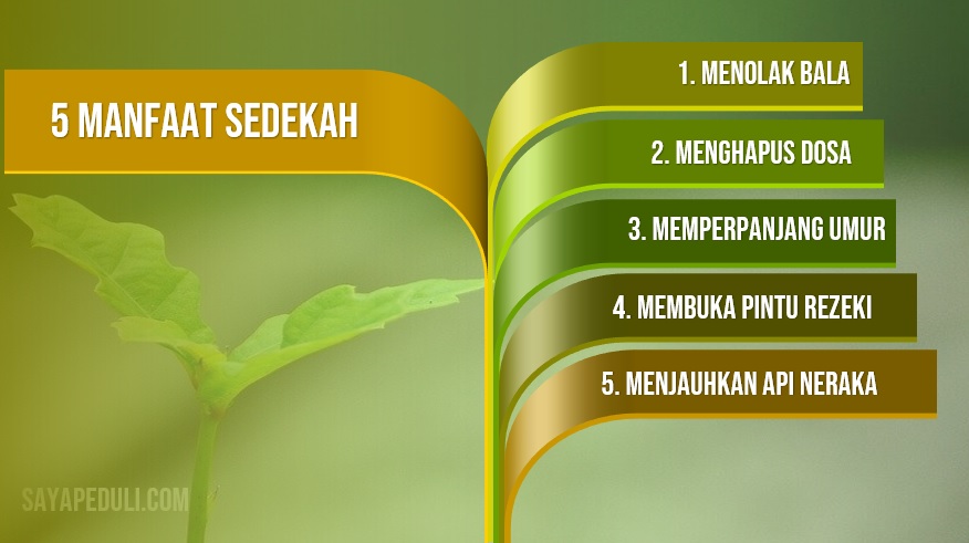 Detail Gambar Sedekah Menjauhkan Bala Nomer 25