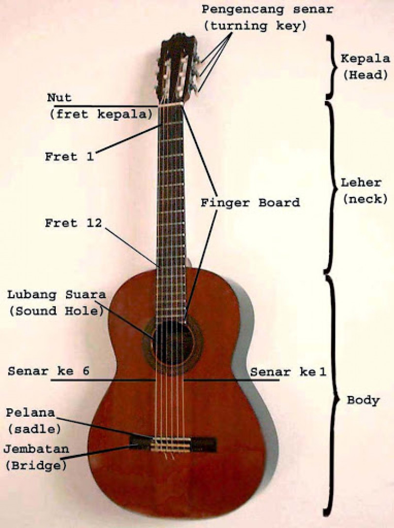 Detail Gambar Sederhana Gitar Nomer 30