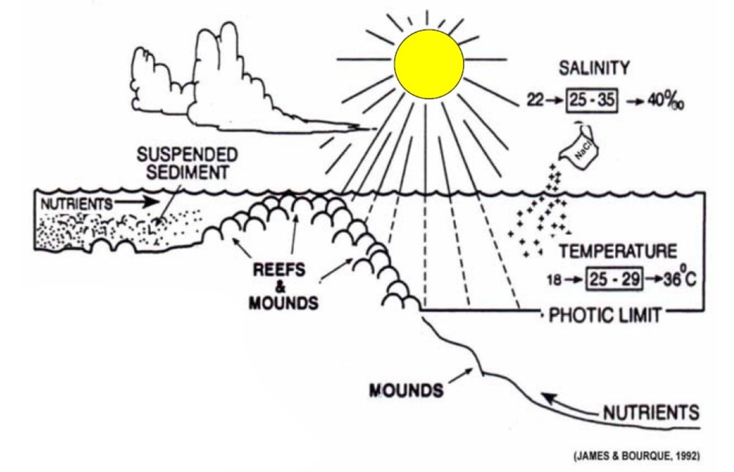 Detail Gambar Sedimen Serta Genesanya Nomer 33