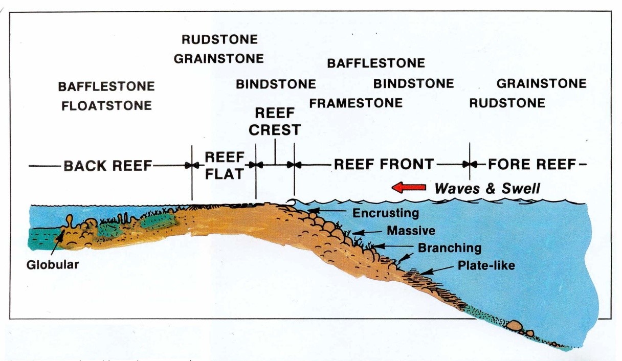 Detail Gambar Sedimen Serta Genesanya Nomer 6