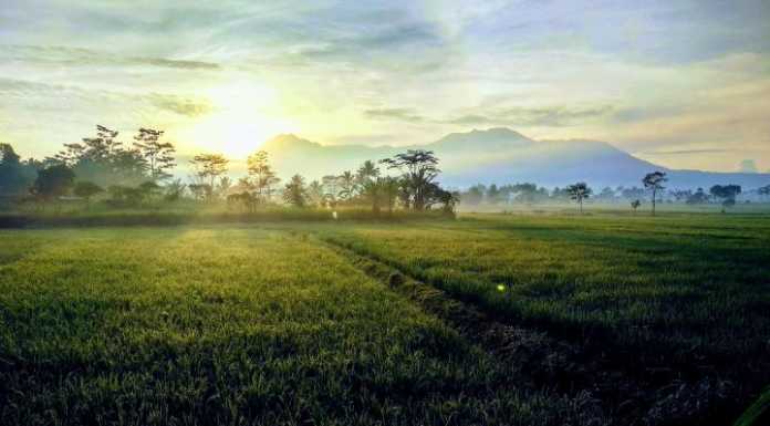 Detail Gambar Sedrhana Pemandangan Mentari Nomer 20