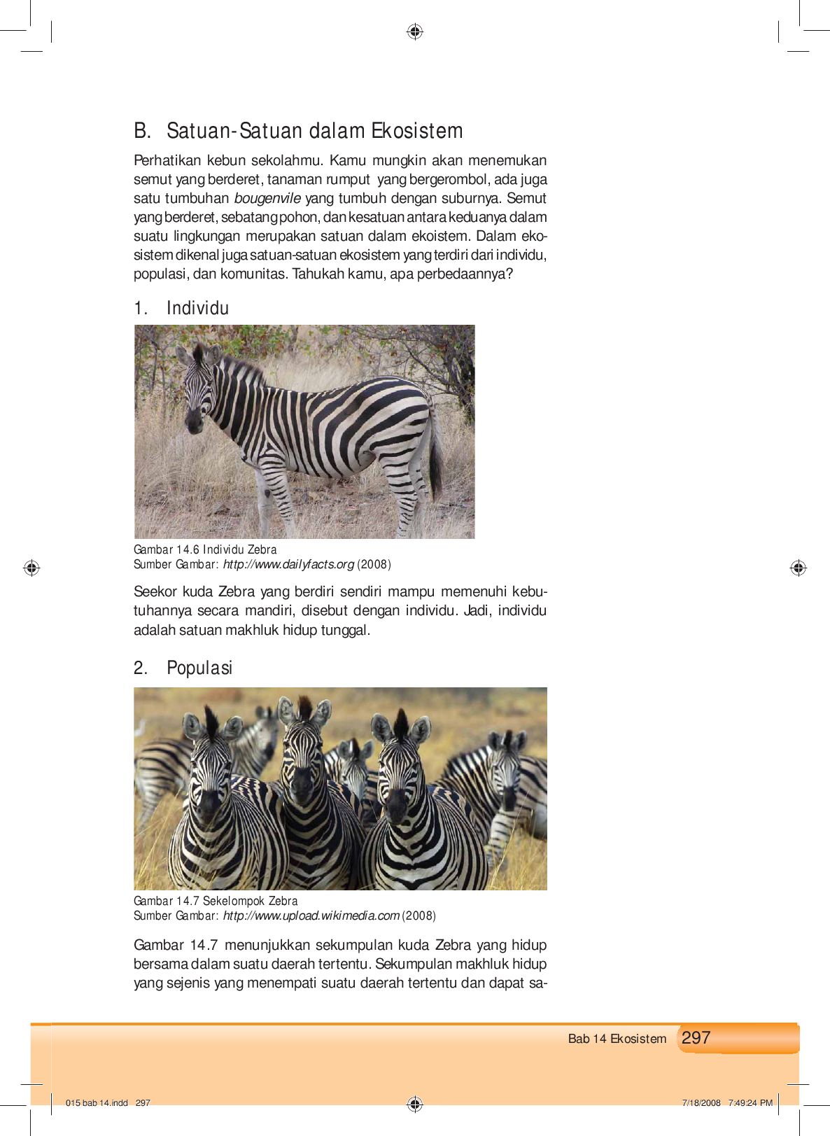 Detail Gambar Sekelompok Zebra Nomer 49