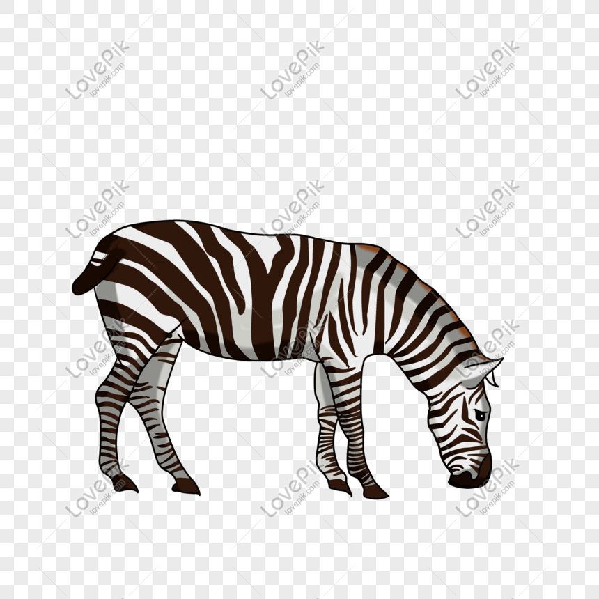 Detail Gambar Sekelompok Zebra Kartun Nomer 12