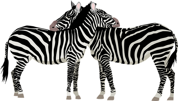 Detail Gambar Sekelompok Zebra Kartun Nomer 35