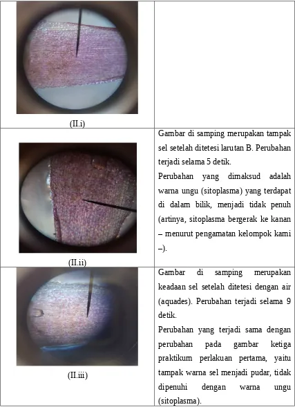 Detail Gambar Sel Adam Hawa Nomer 19