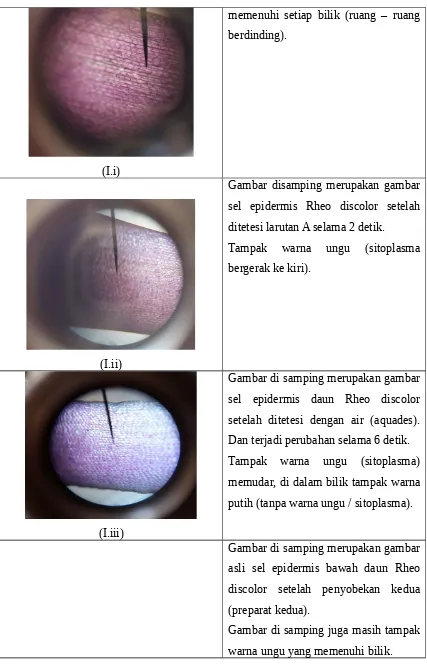 Detail Gambar Sel Adam Hawa Nomer 9