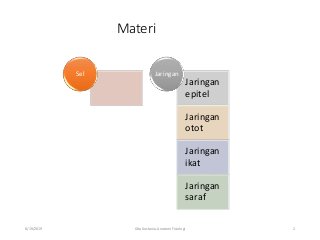 Detail Gambar Sel Dan Jaringan Nomer 52