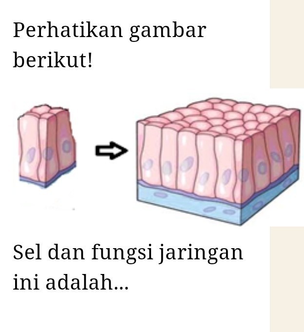 Detail Gambar Sel Dan Jaringan Nomer 7