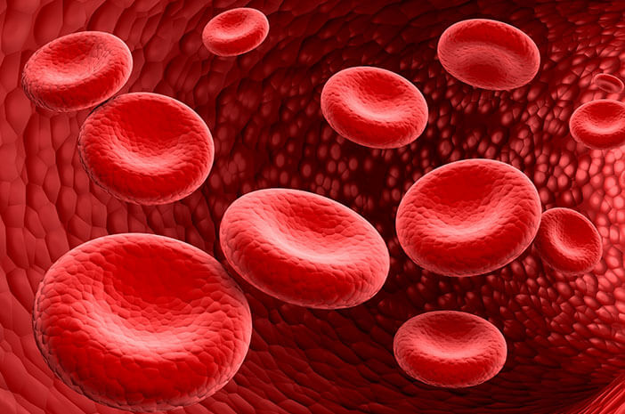 Gambar Sel Darah Merah Dan Putih - KibrisPDR
