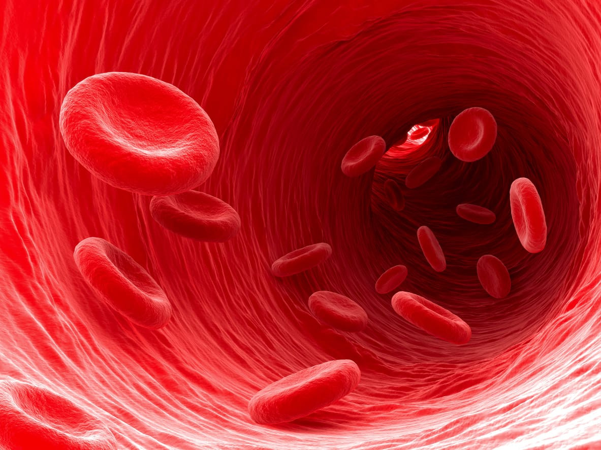 Detail Gambar Sel Darah Merah Dan Putih Nomer 12