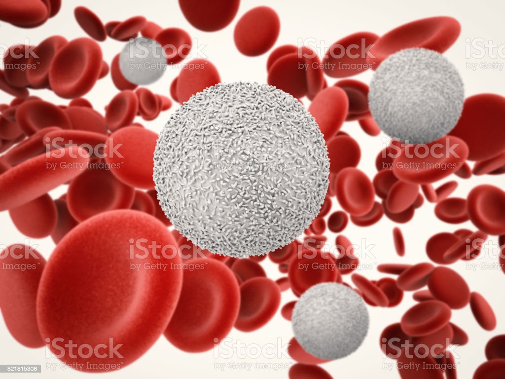 Detail Gambar Sel Darah Merah Dan Putih Nomer 16