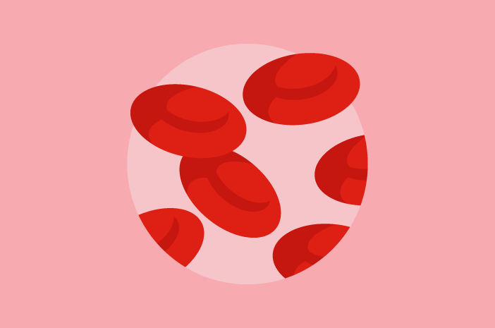 Detail Gambar Sel Darah Merah Dan Putih Nomer 36