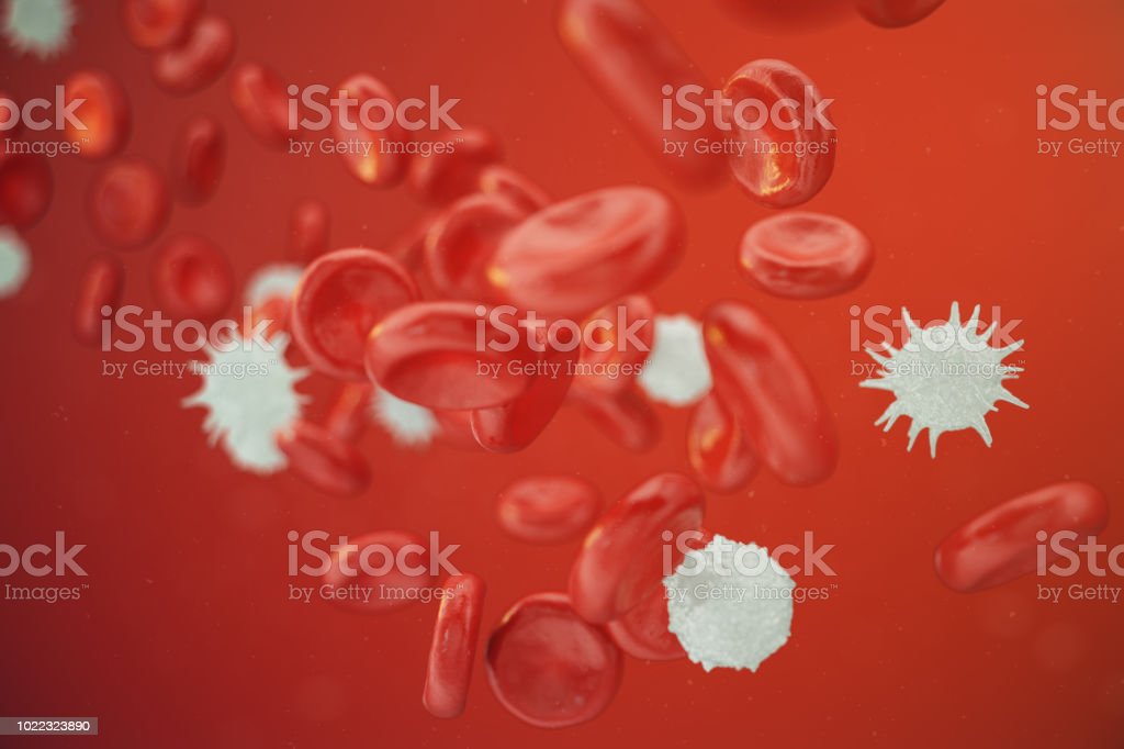 Detail Gambar Sel Darah Merah Dan Sel Darah Putih Nomer 26