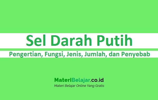 Detail Gambar Sel Darah Putih Nomer 50