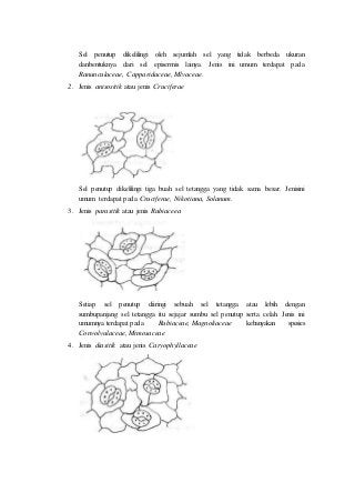 Detail Gambar Sel Daun Hitam Putih Nomer 44