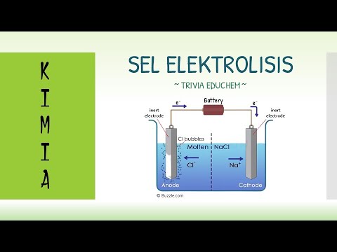 Detail Gambar Sel Elektrokimia Nomer 28