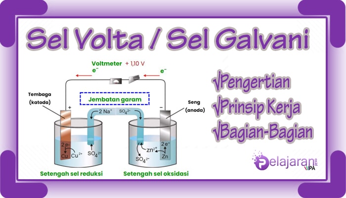 Detail Gambar Sel Elektrokimia Nomer 5